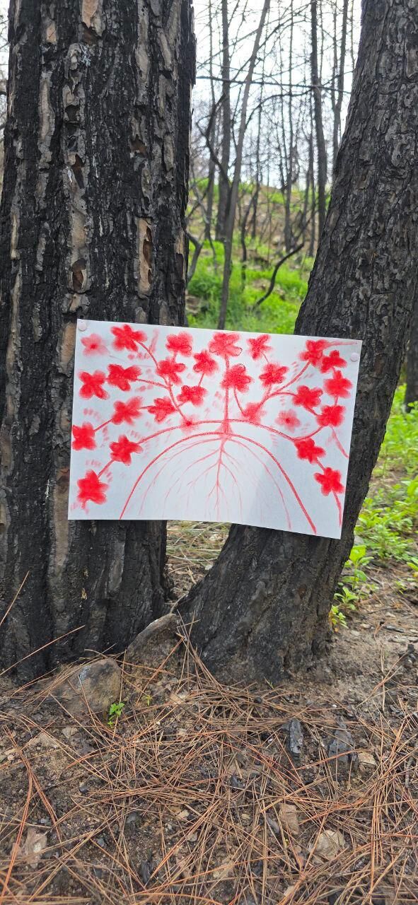 Whatsapp Image 2026 03 18 At 20.02.23