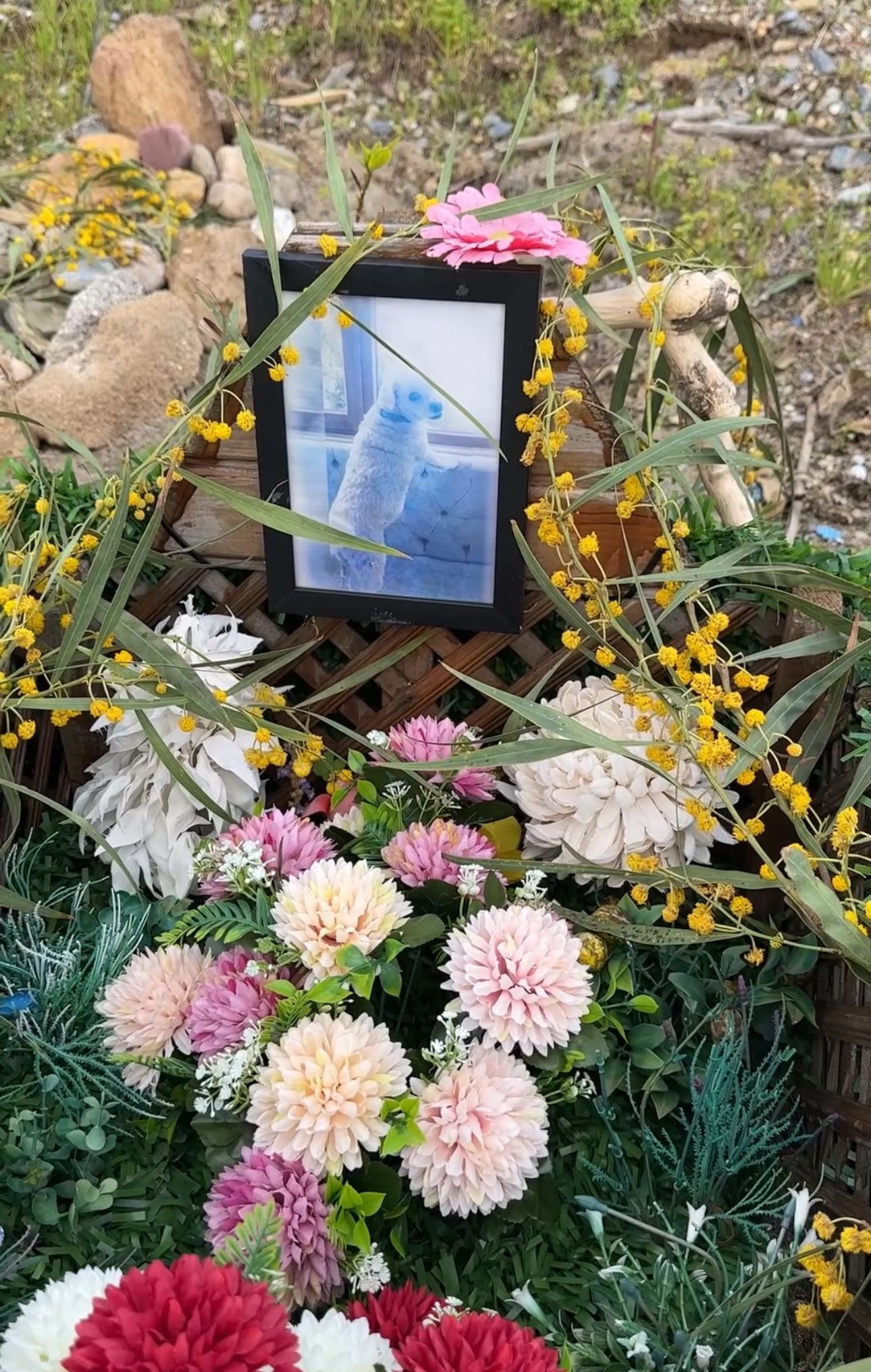 Whatsapp Image 2026 03 25 At 20.10.01