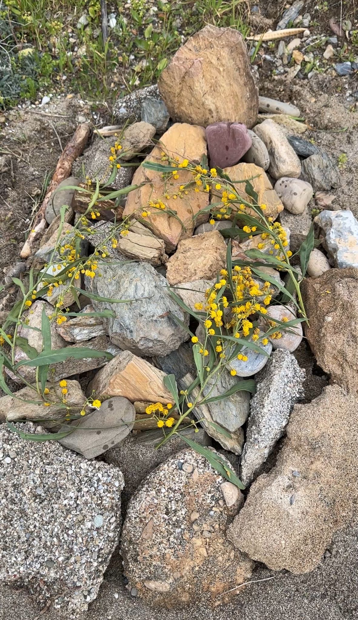 Whatsapp Image 2026 03 25 At 20.10.02