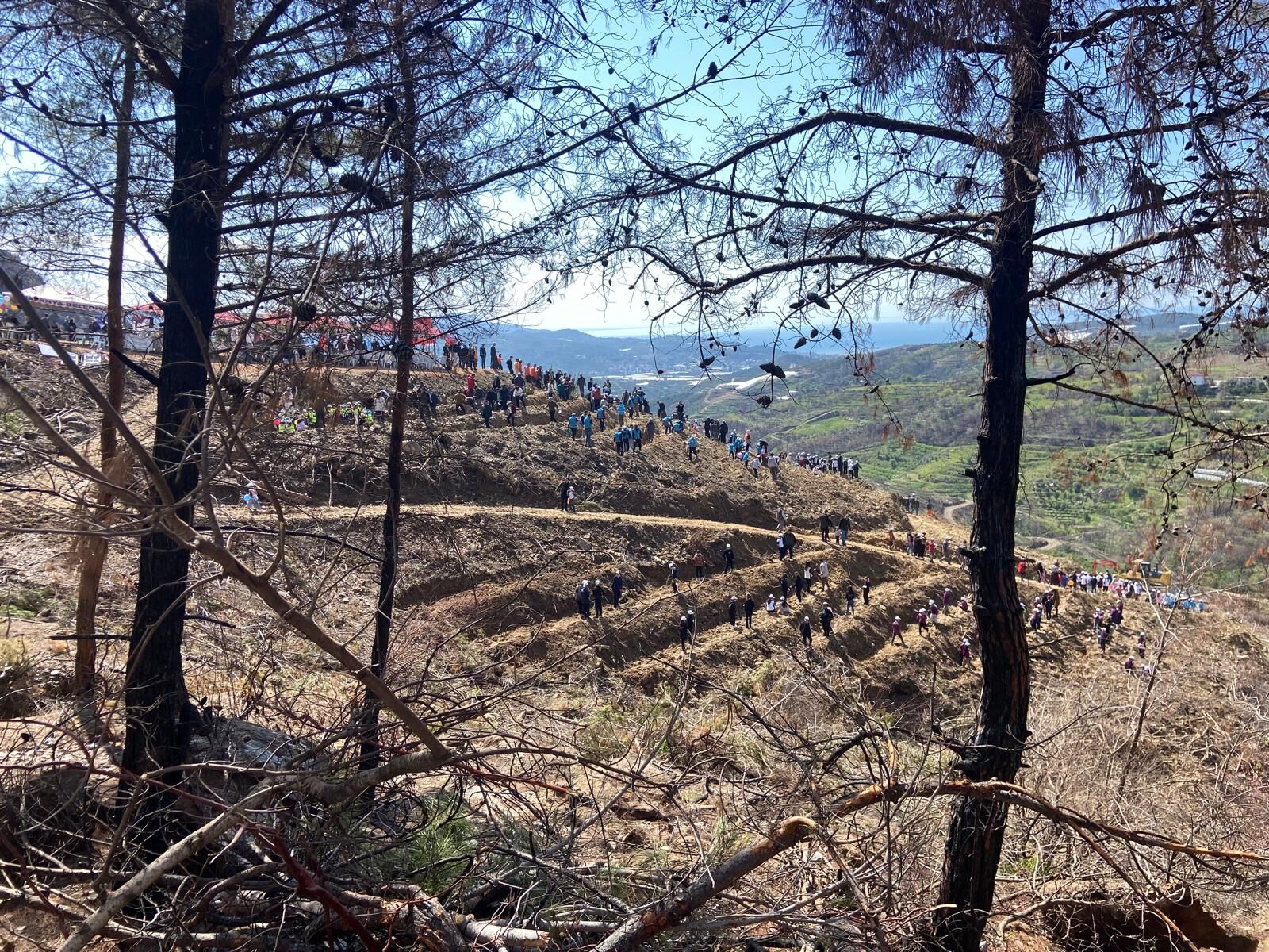 Whatsapp Image 2026 03 26 At 15.35.06 (1)