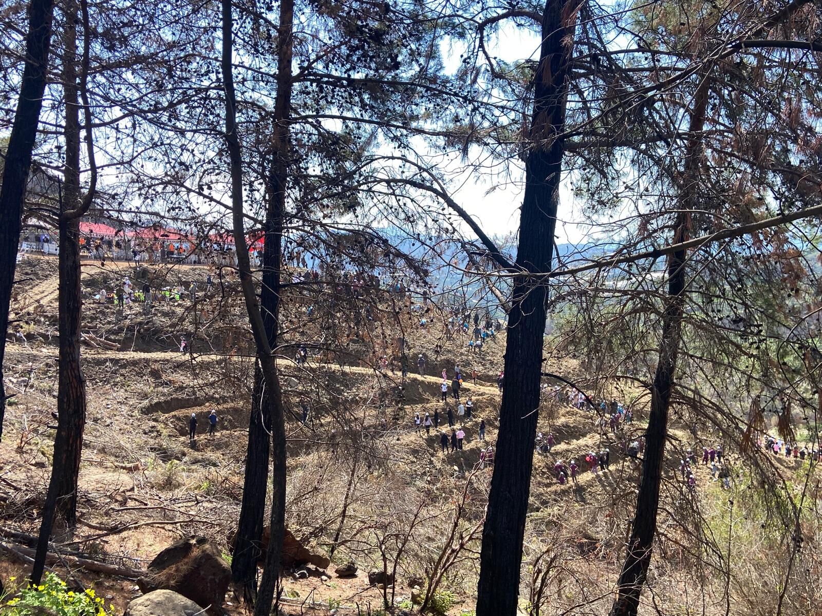 Whatsapp Image 2026 03 26 At 15.35.06