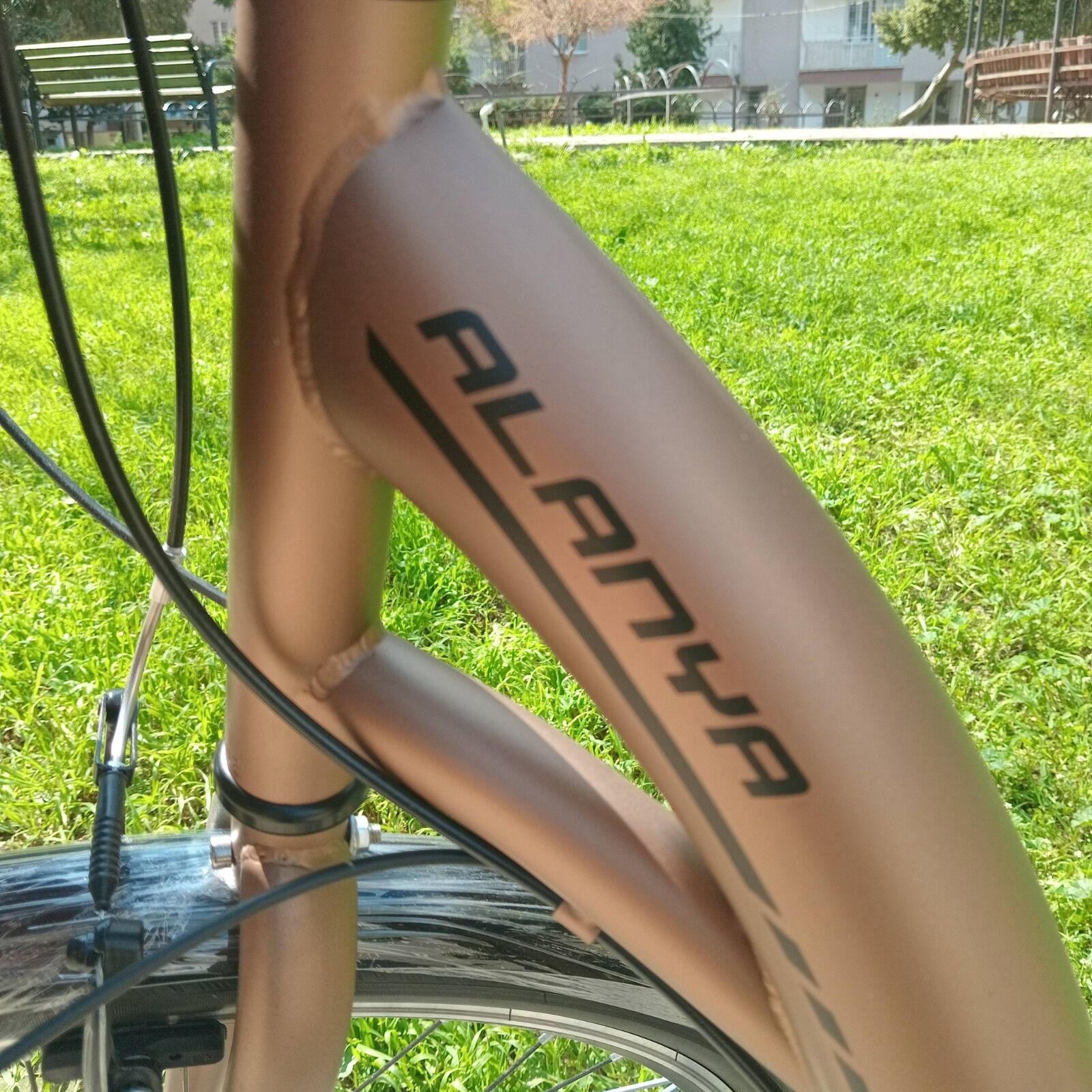 Whatsapp Image 2026 03 26 At 17.56.05