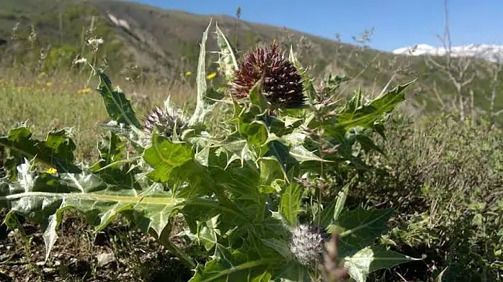 Whatsapp Image 2026 03 27 At 124250 1 1774608462 Jj F Uvk