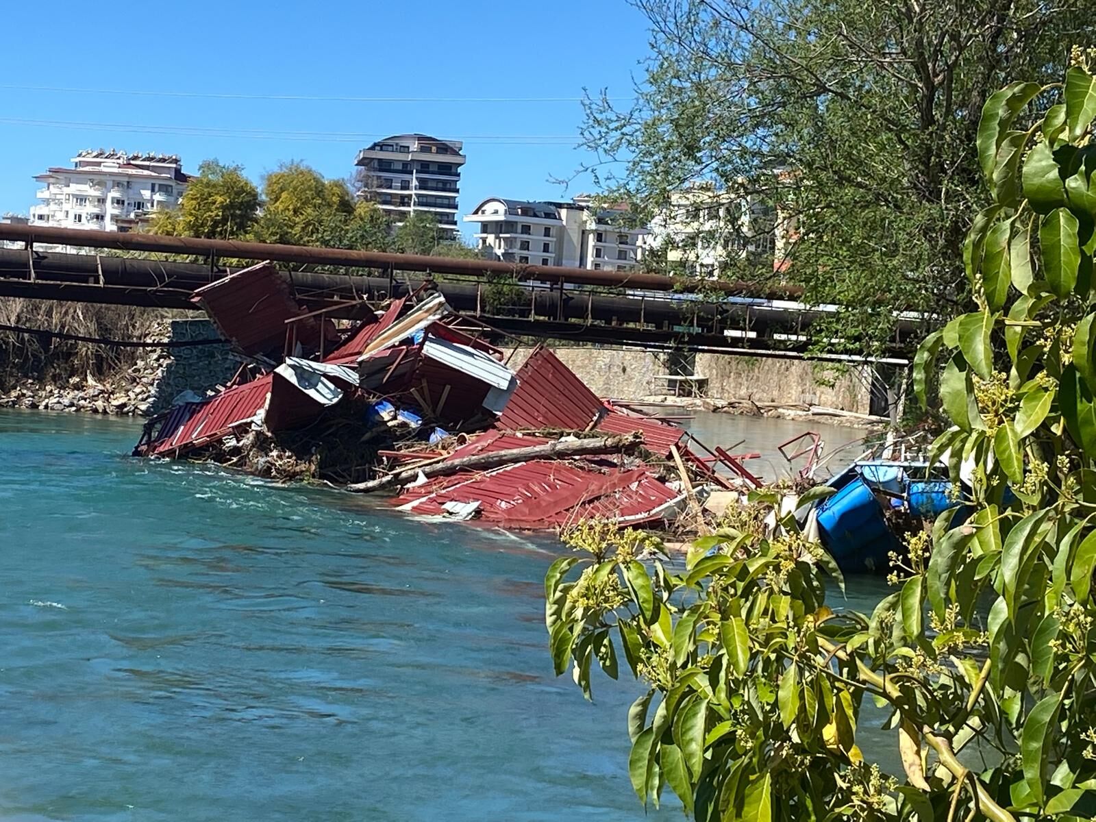 Whatsapp Image 2026 03 30 At 17.20.40 (1)