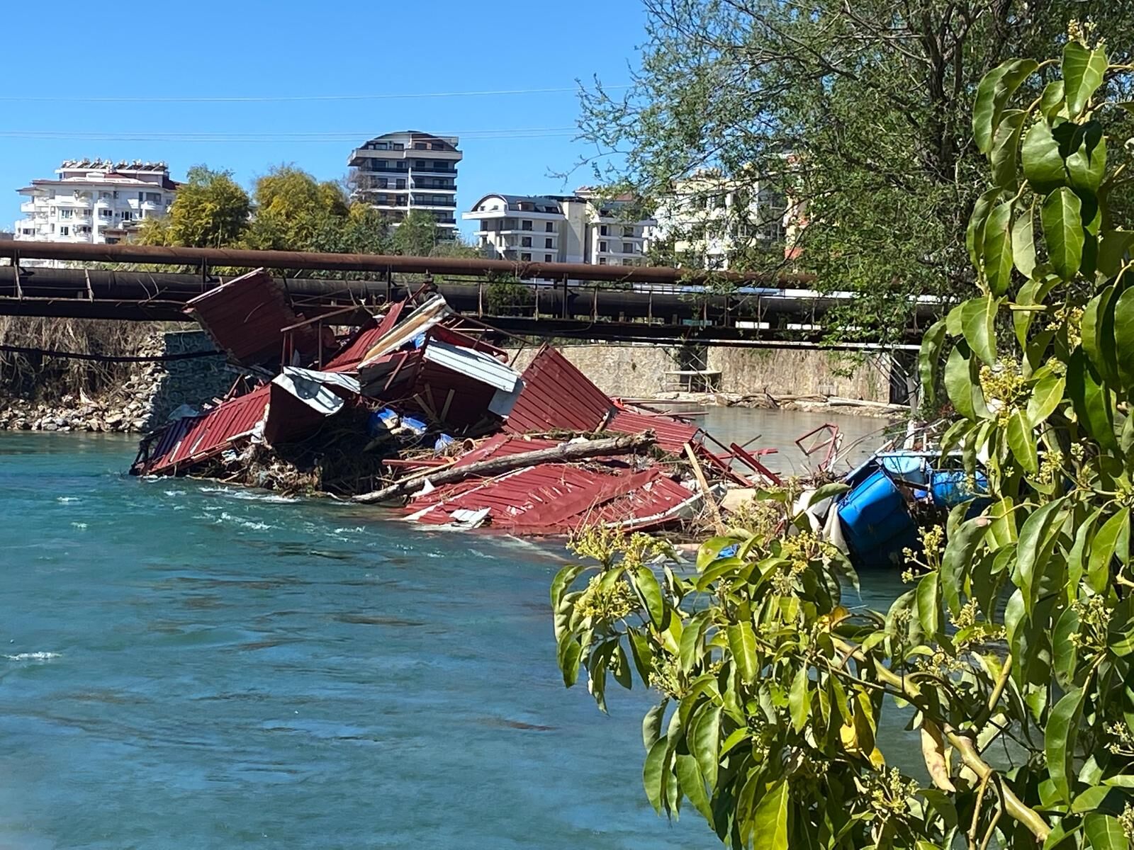 Whatsapp Image 2026 03 30 At 17.20.40