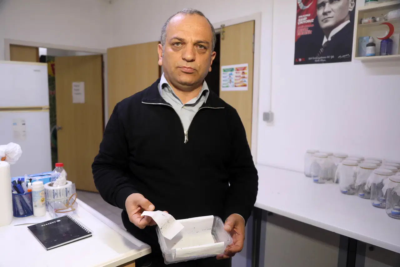 33168D90 633D 48B2 84Ff C2B136B87732