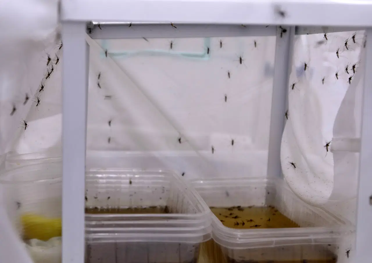 465F3Dab 706B 4222 9F3E 24Da6D427772