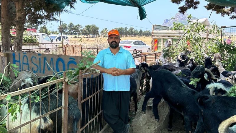 502894927 1157607689714841 5062806629953576910 N