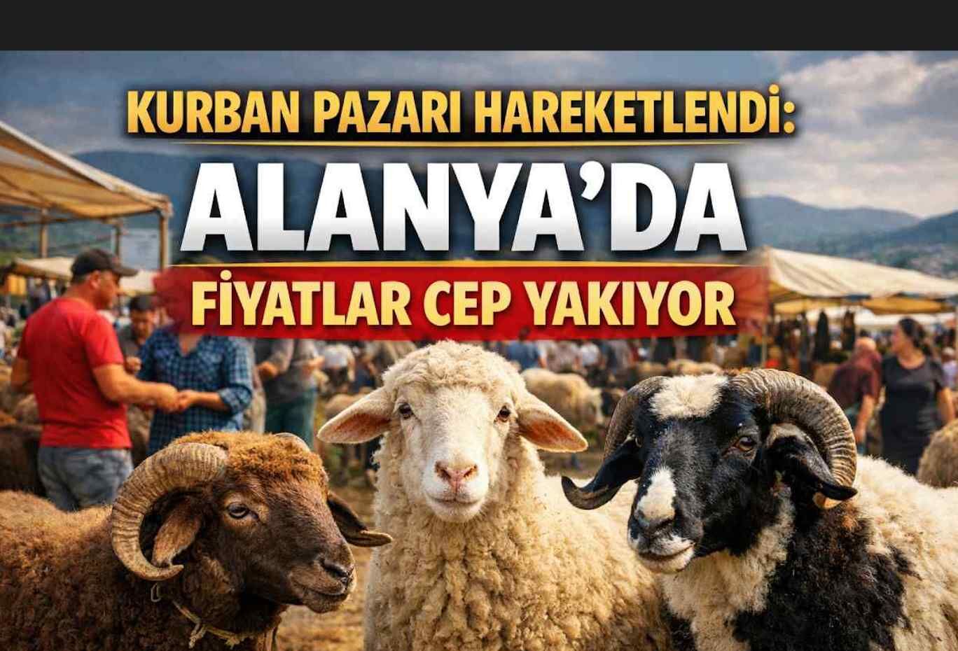 Kurban pazarı hareketlendi: Alanya’da fiyatlar cep yakıyor