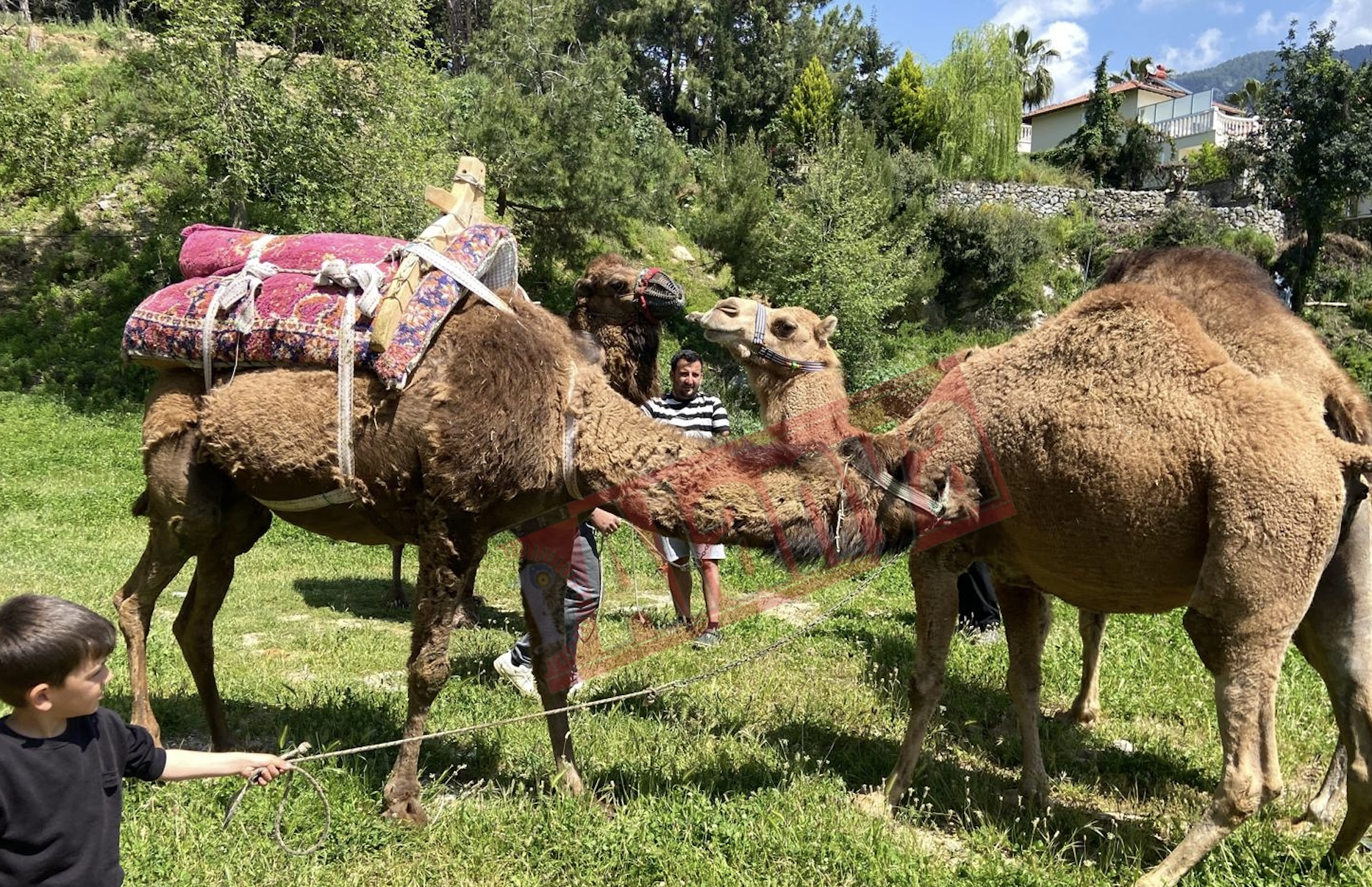 Ekran Resmi 2026 04 27 14.47.22