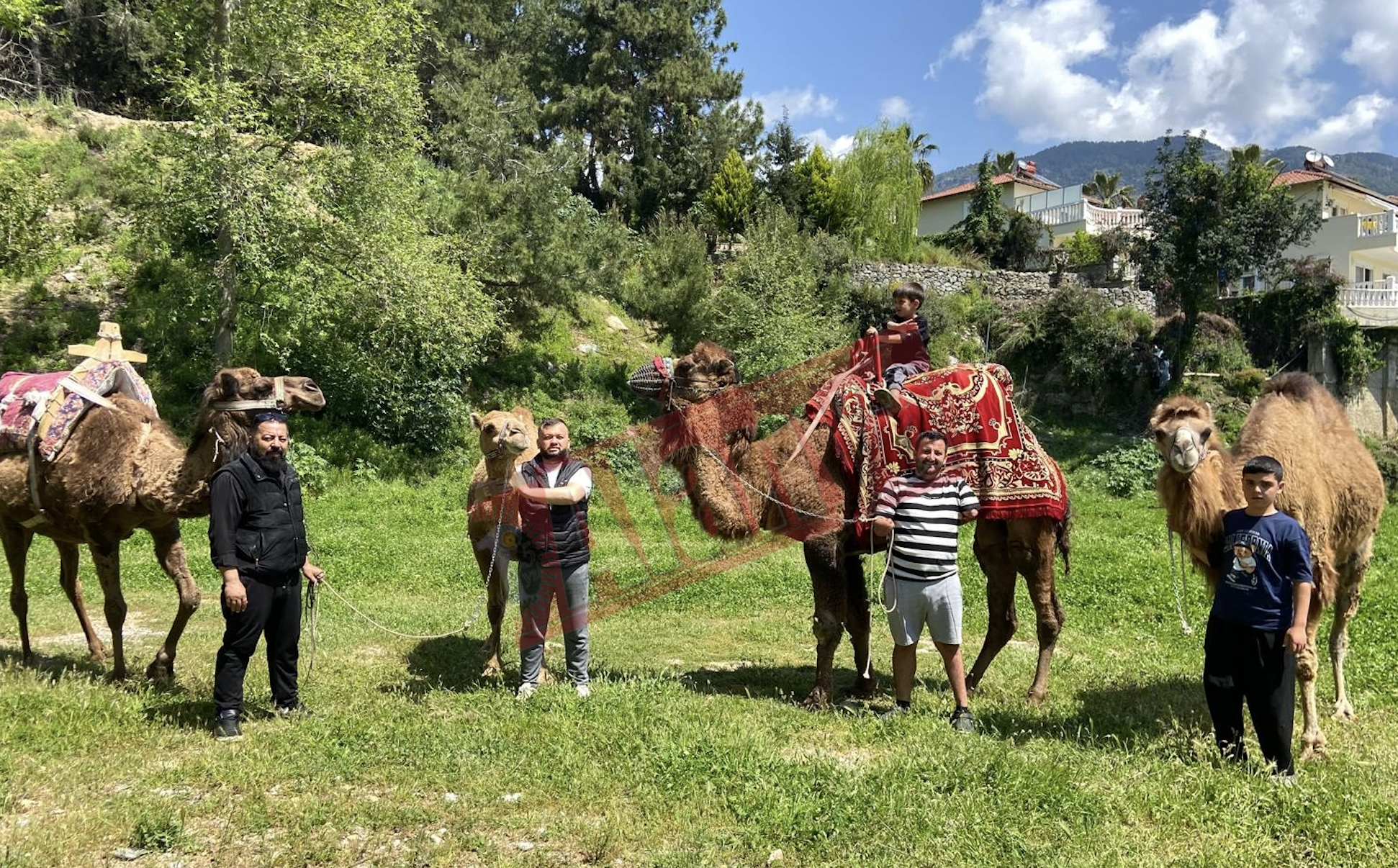 Ekran Resmi 2026 04 27 14.47.36