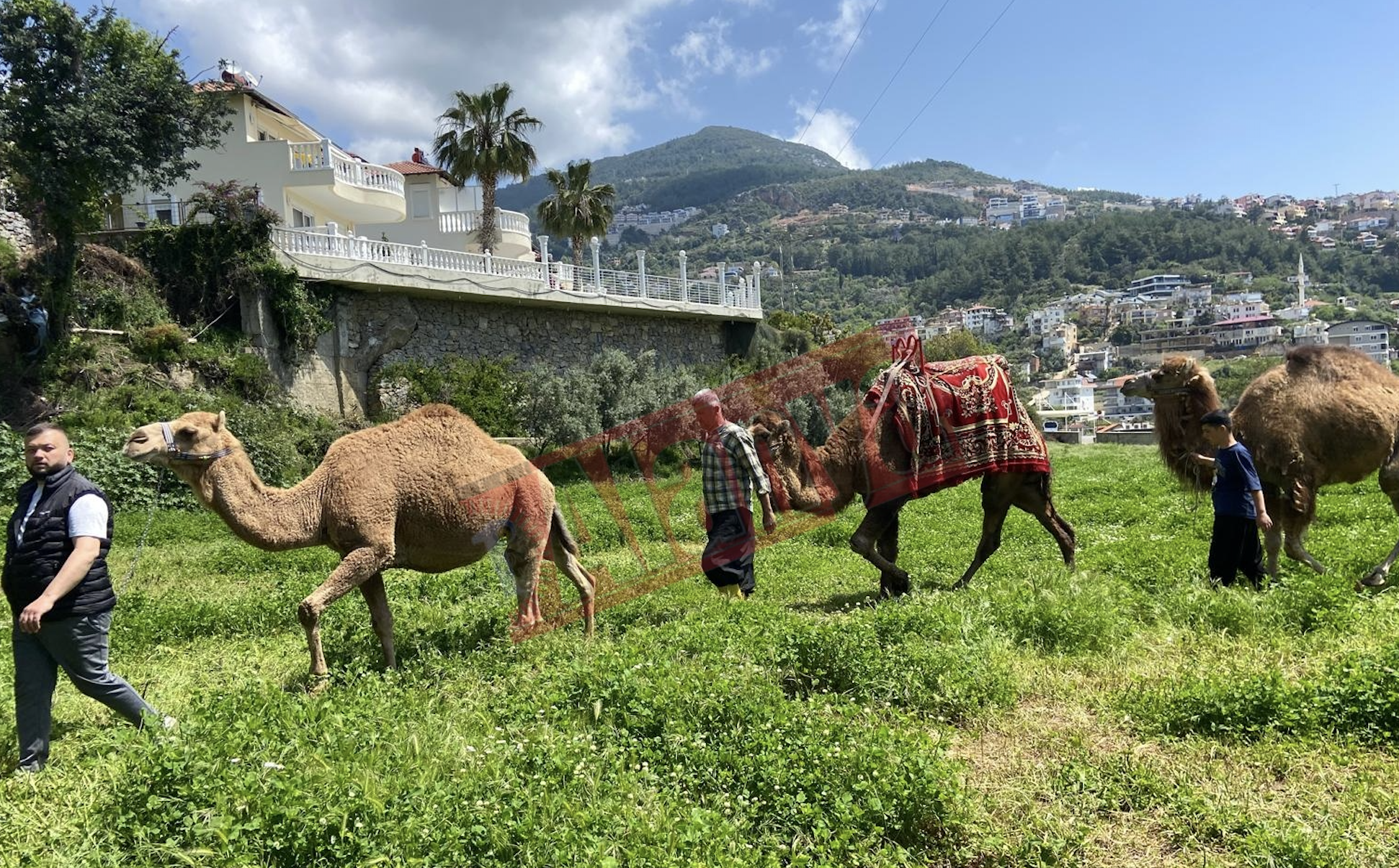 Ekran Resmi 2026 04 27 14.48.12