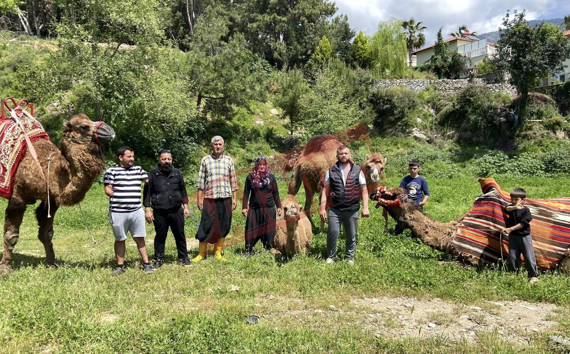 Ekran Resmi 2026 04 27 14.48.25