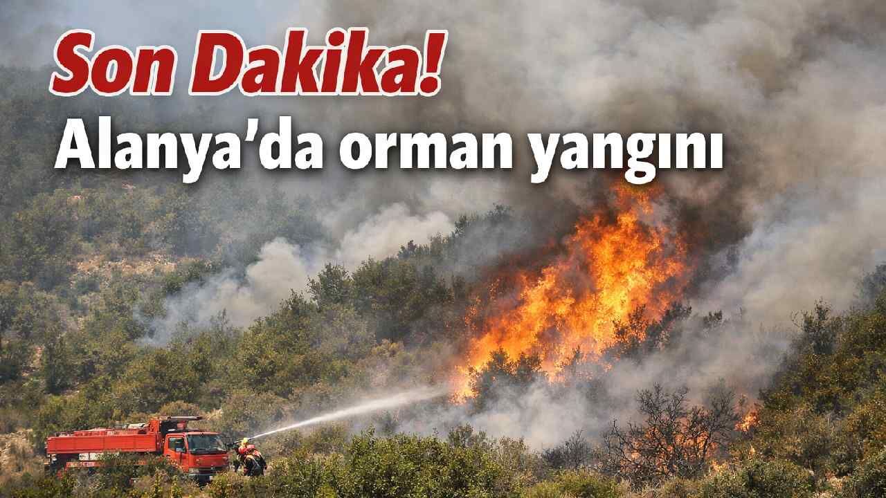 Alanya'da orman yangını: Şıhlar mahallesinde makilik alan kontrol ltına alındı