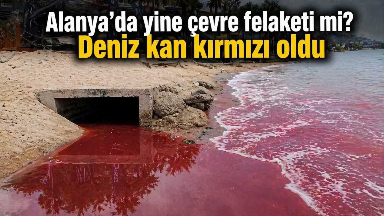 Alanya'da yine çevre felaketi mi? Deniz kan kırmızı oldu