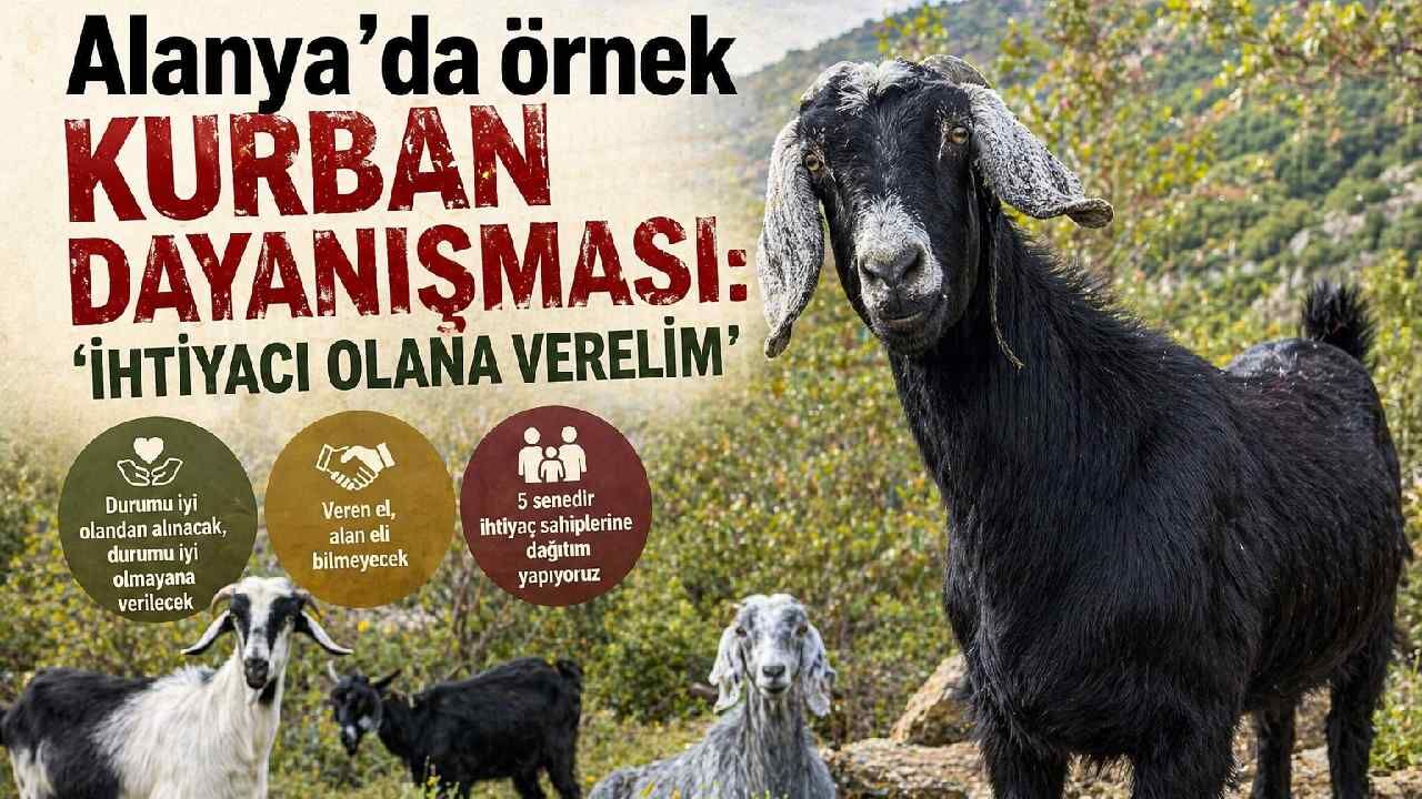 Alanya'da örnek kurban dayanışması: 'İhtiyacı olana verelim'