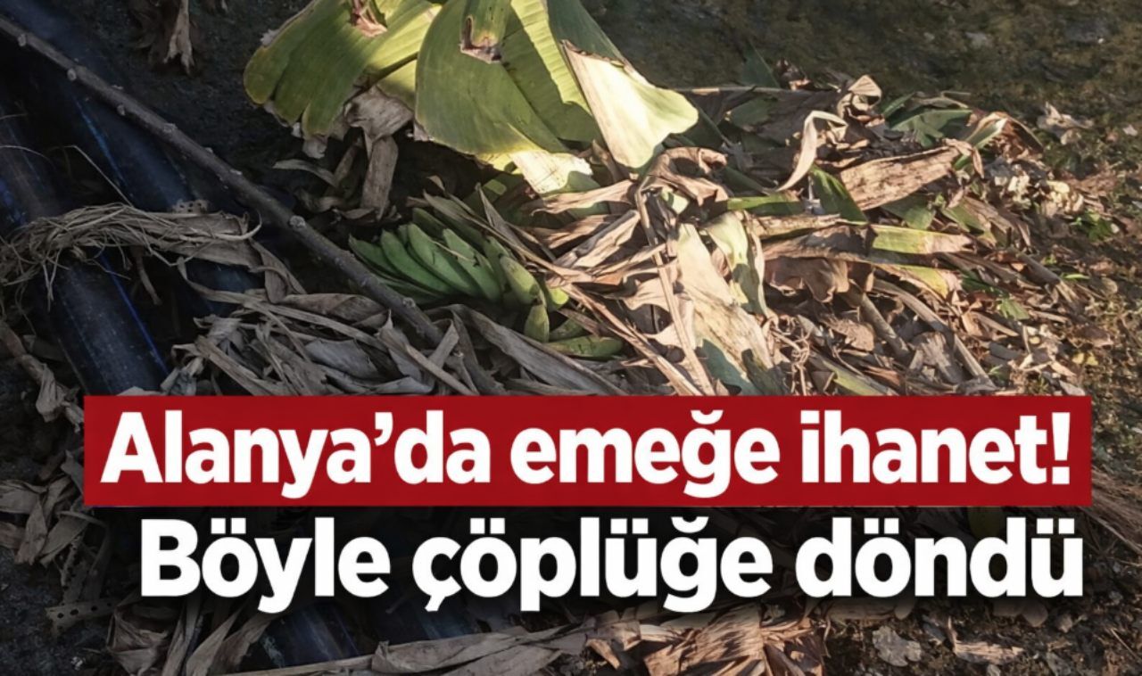 Alanya'da emeğe ihanet! Böyle çöplüğe döndü