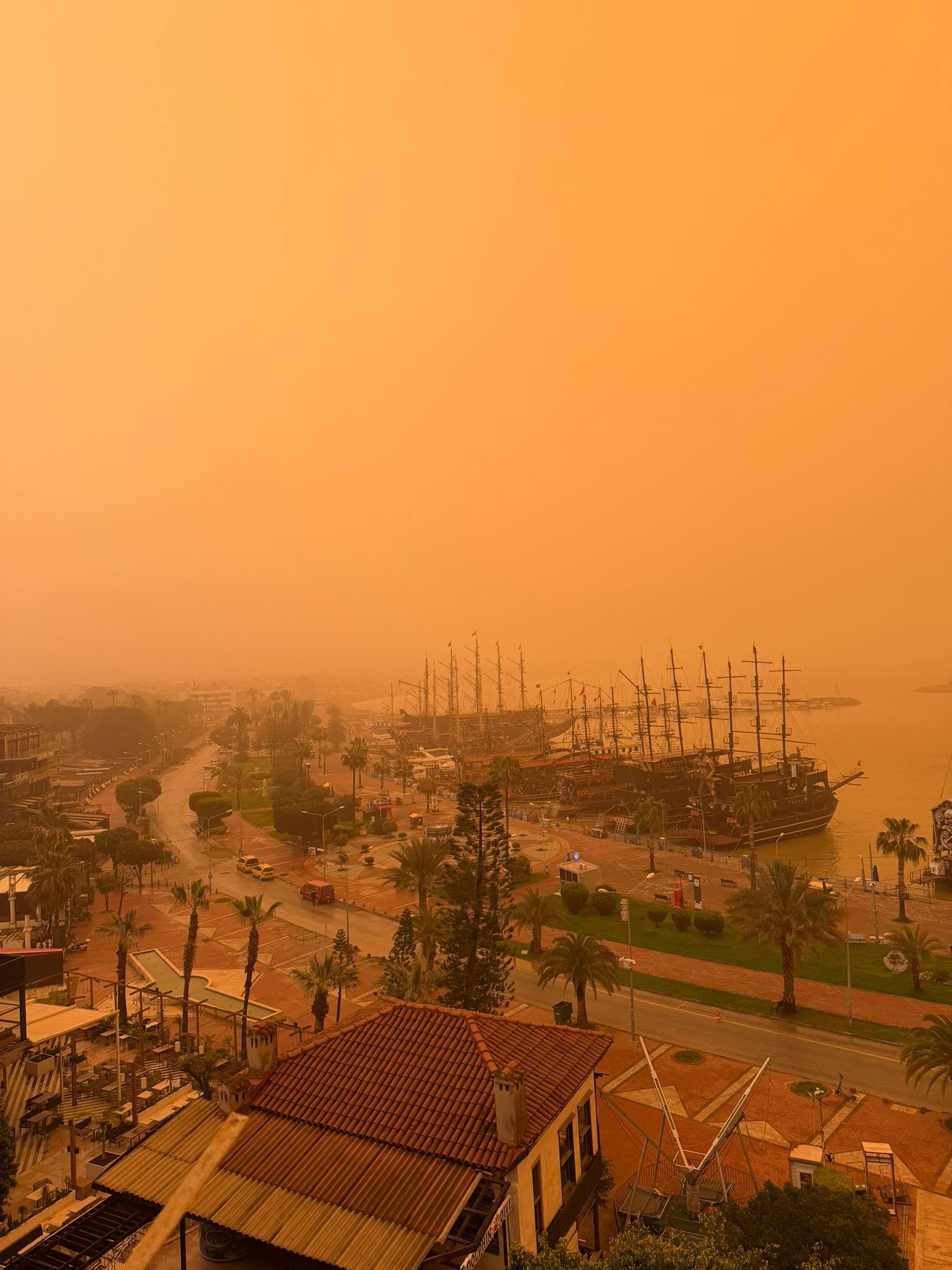 Whatsapp Image 2026 04 03 At 08.48.32 (1)