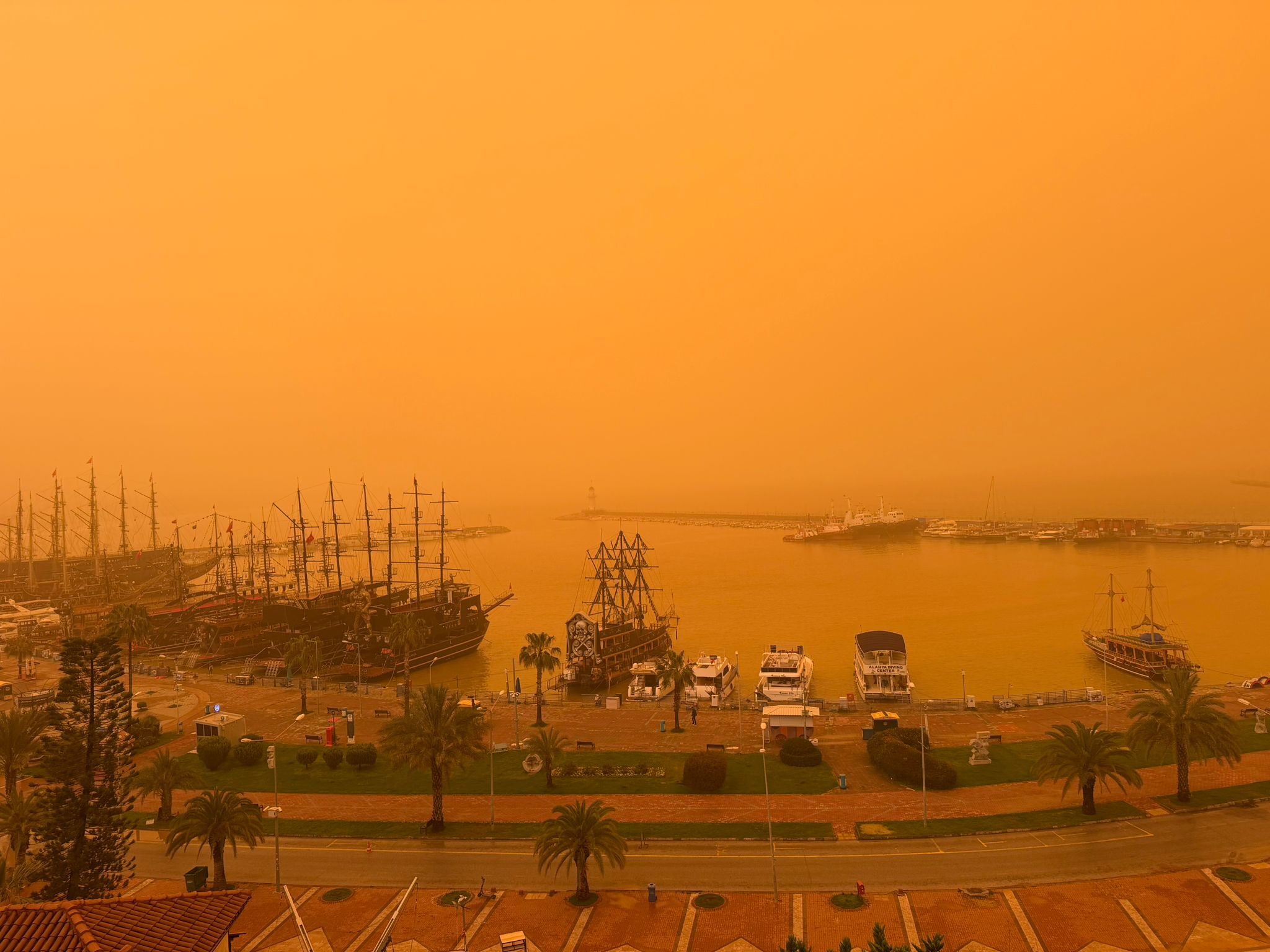 Whatsapp Image 2026 04 03 At 08.48.32