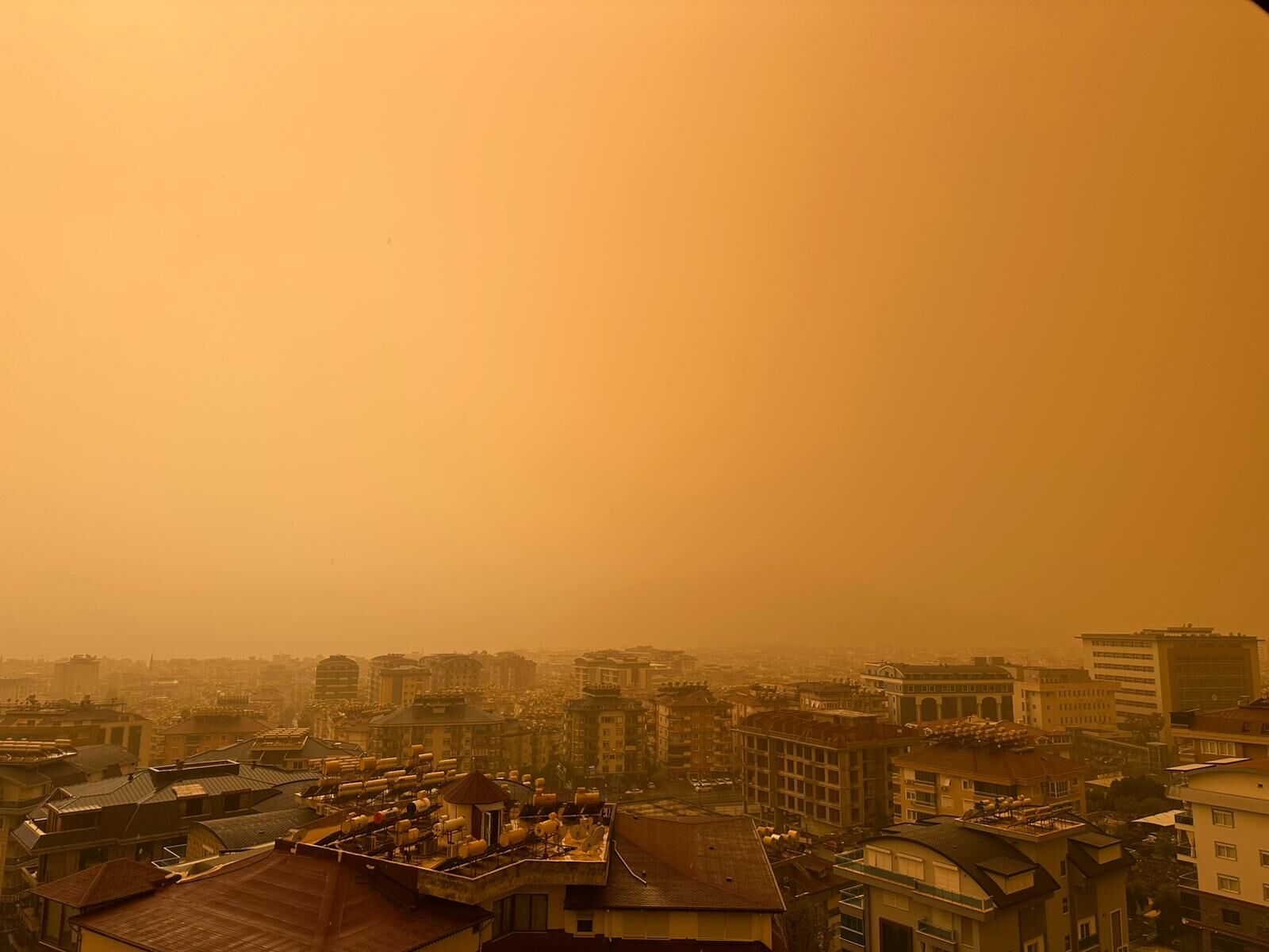 Whatsapp Image 2026 04 03 At 10.09.48 (1)