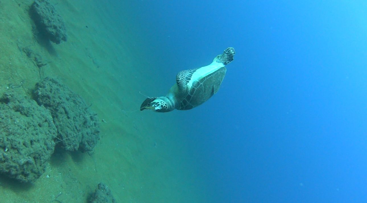 Whatsapp Image 2026 04 03 At 16.39.18 (1)