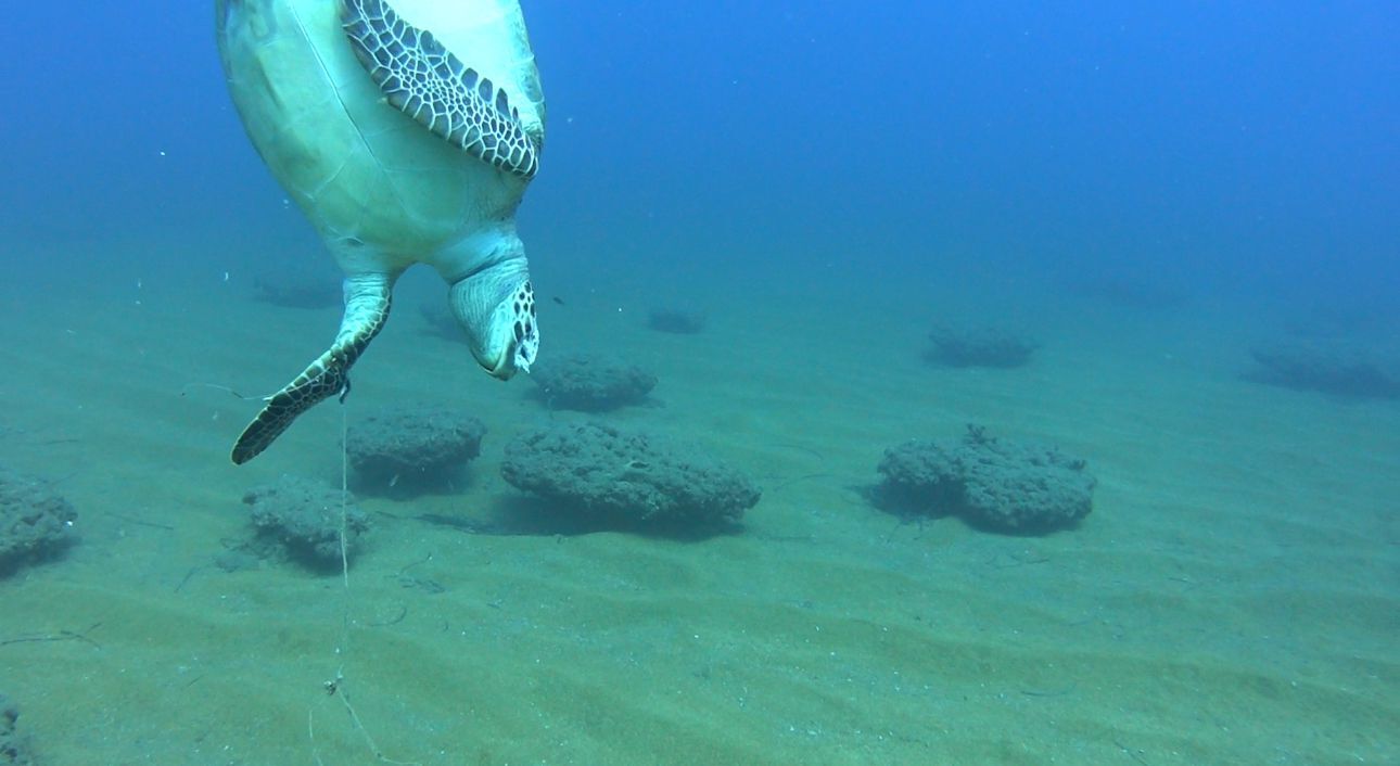 Whatsapp Image 2026 04 03 At 16.39.18 (2)