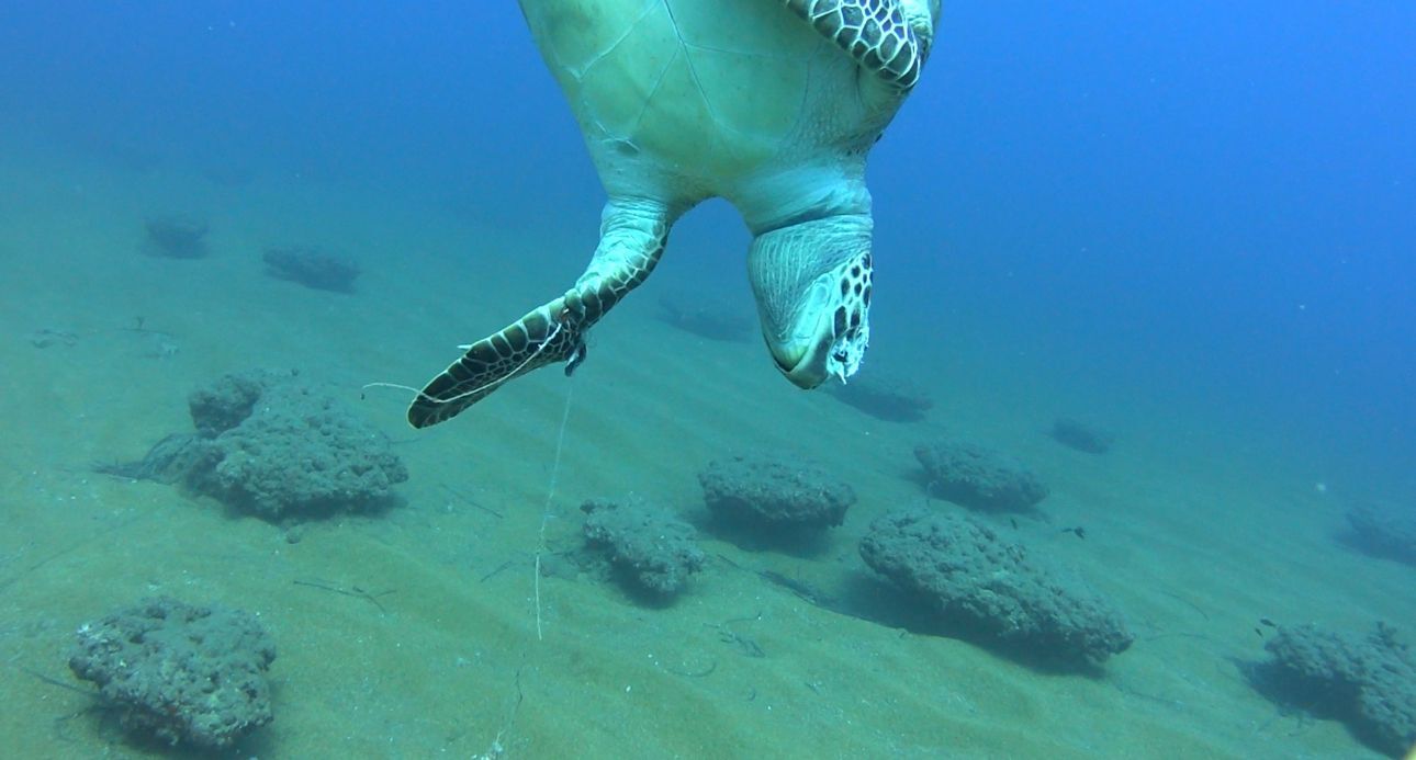 Whatsapp Image 2026 04 03 At 16.39.18 (3)