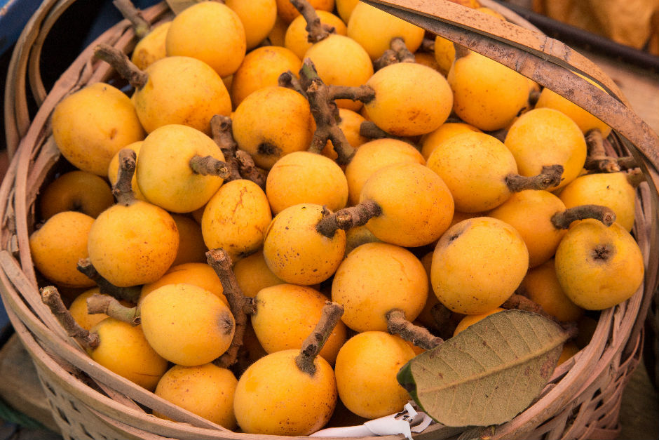 Whatsapp Image 2026 04 22 At 17.11.38