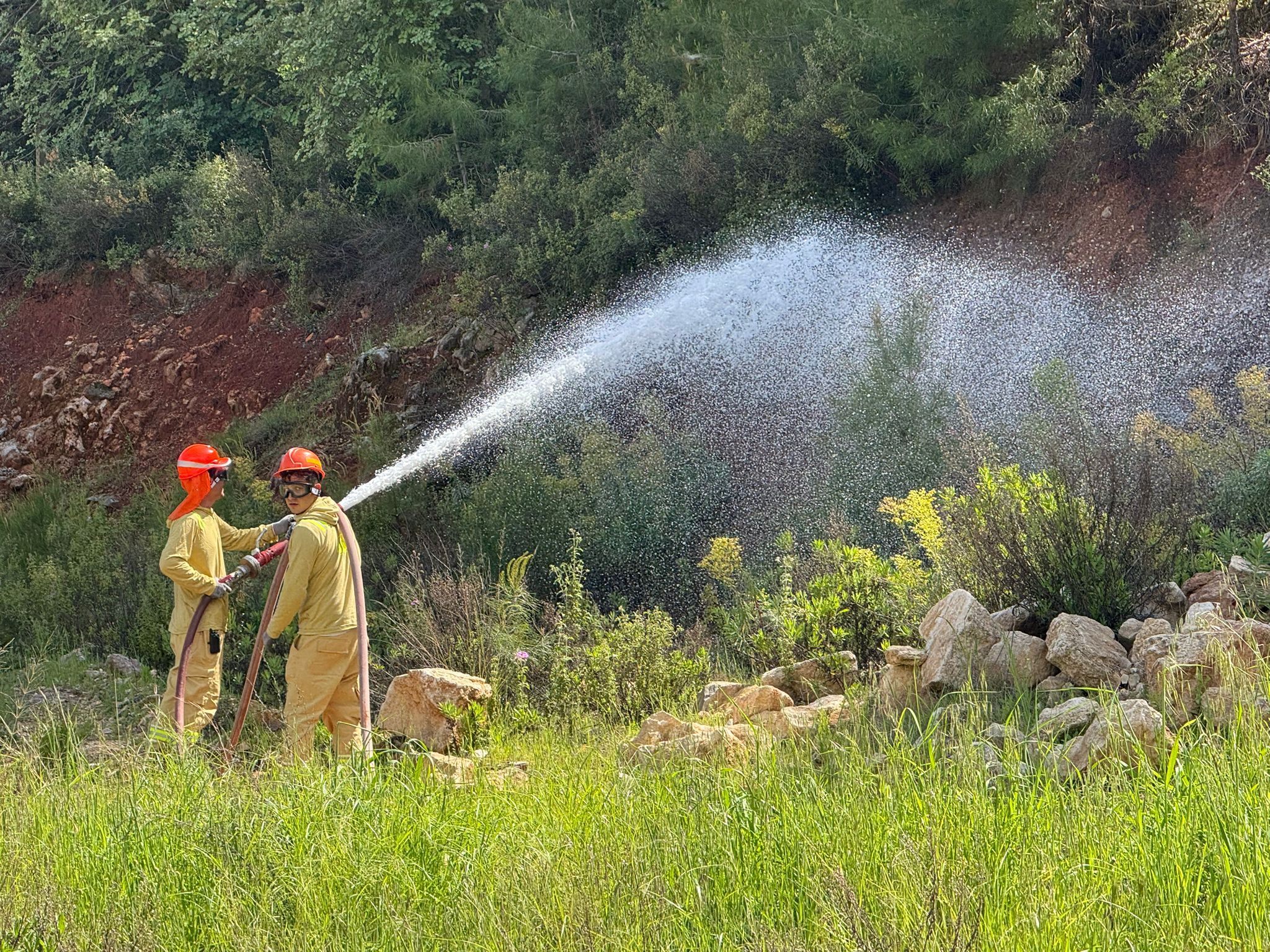 Whatsapp Image 2026 04 24 At 16.14.33