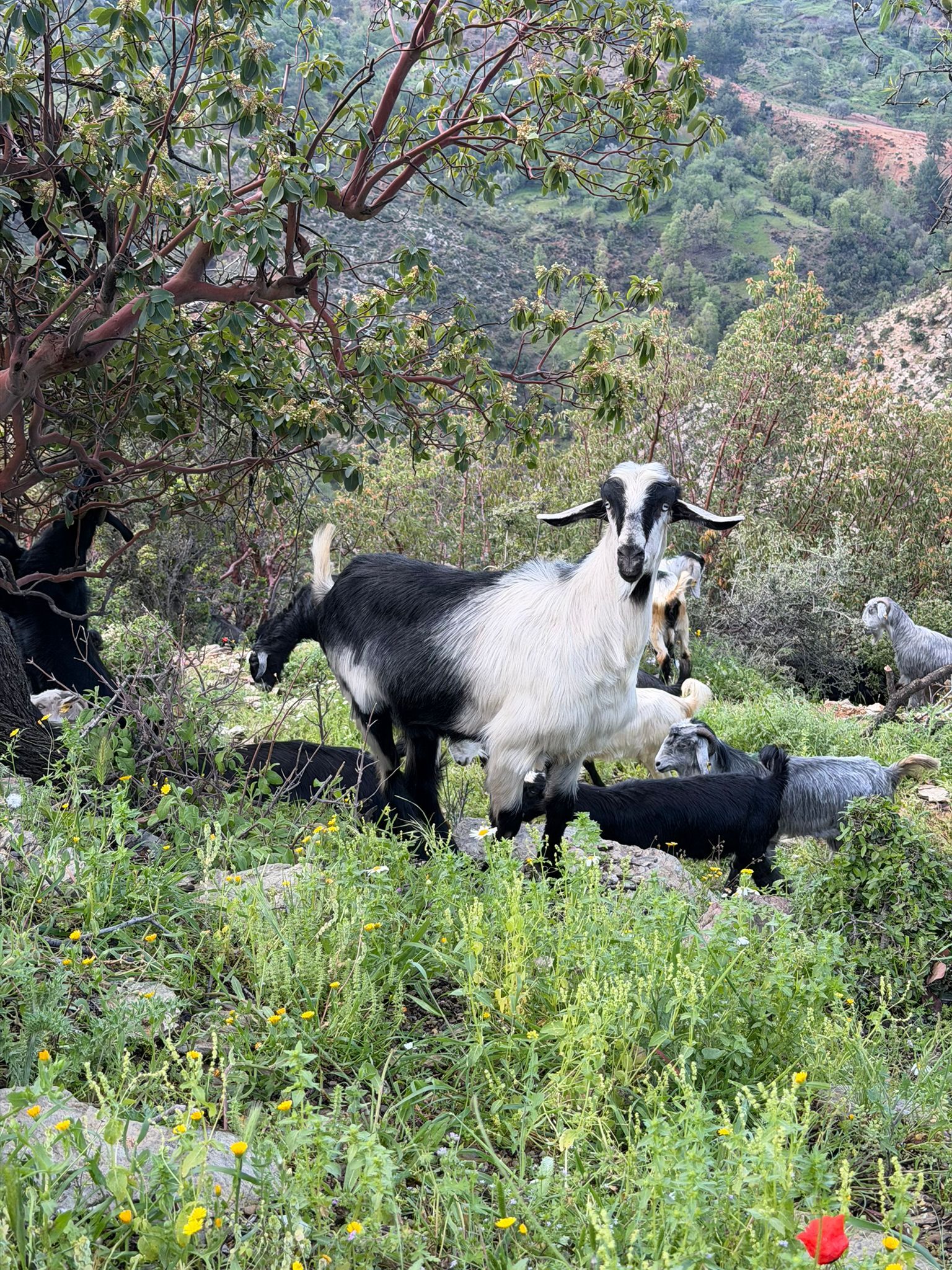 Whatsapp Image 2026 04 30 At 13.46.08