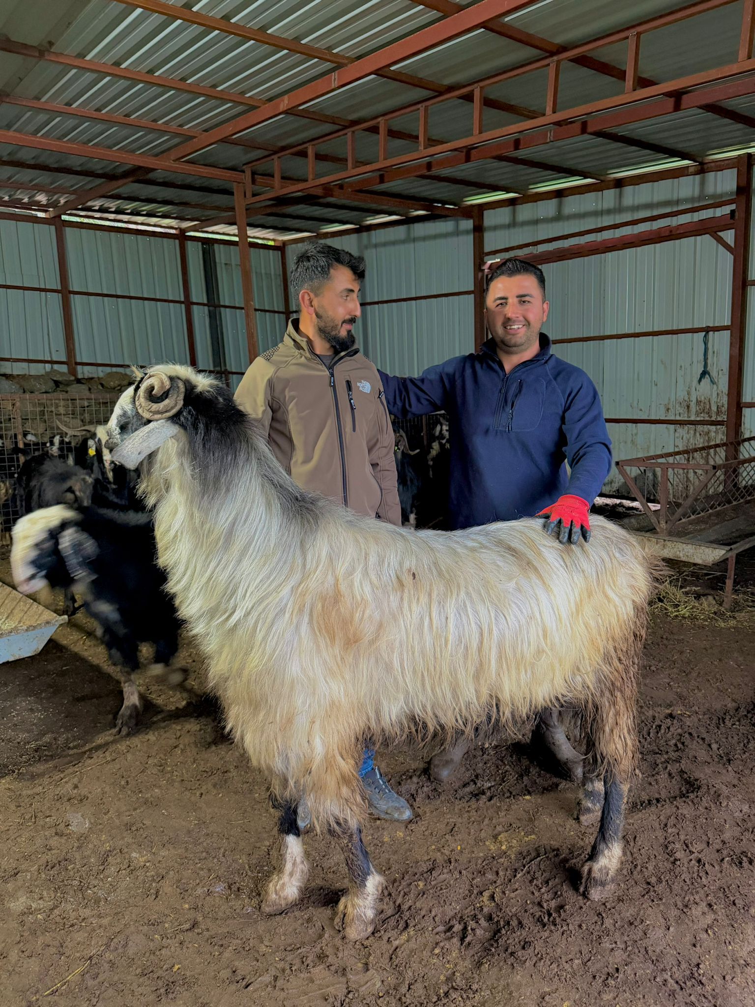 Whatsapp Image 2026 04 30 At 13.46.09 (1)