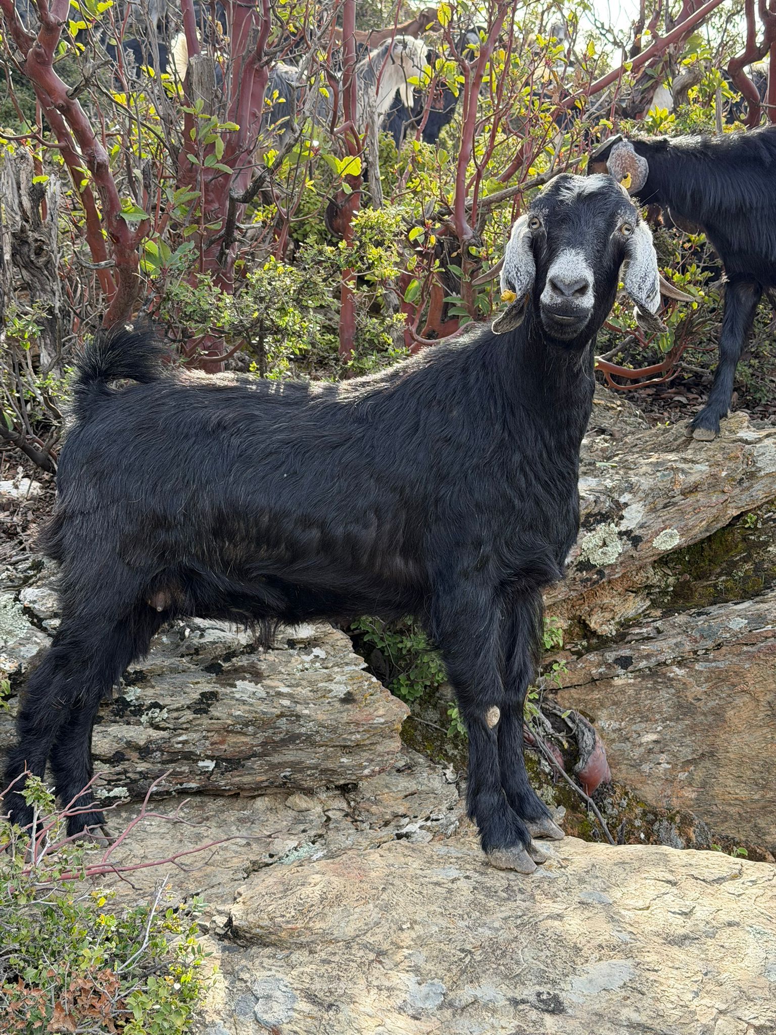 Whatsapp Image 2026 04 30 At 13.46.09 (2)