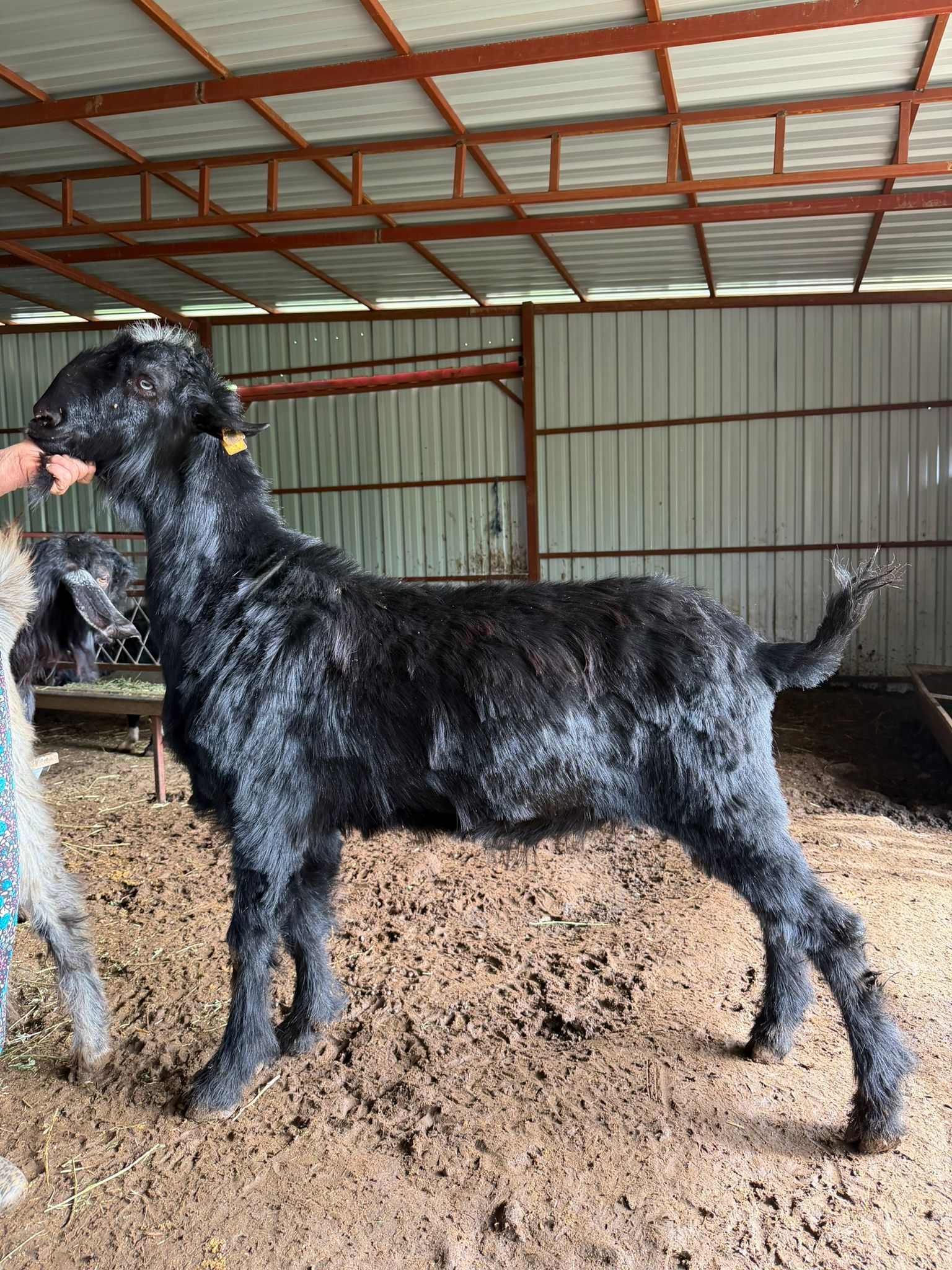 Whatsapp Image 2026 04 30 At 13.46.09