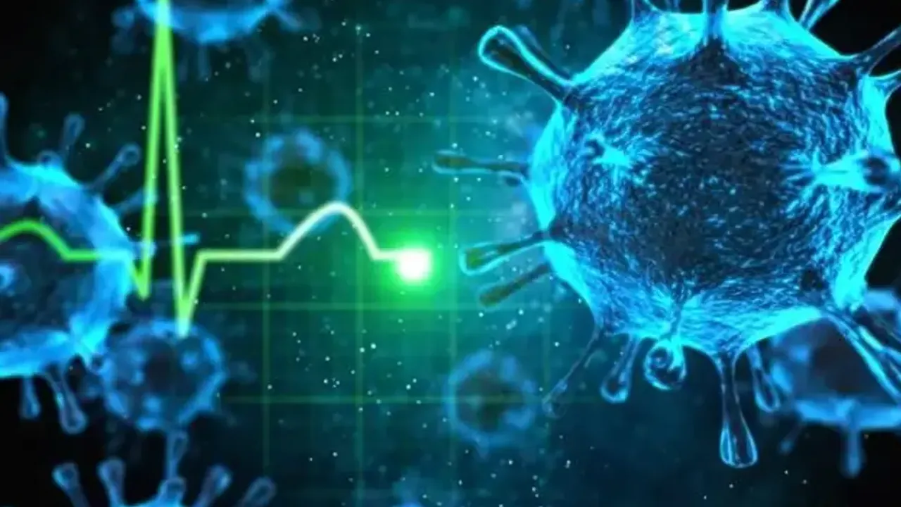 Hantavirus 3