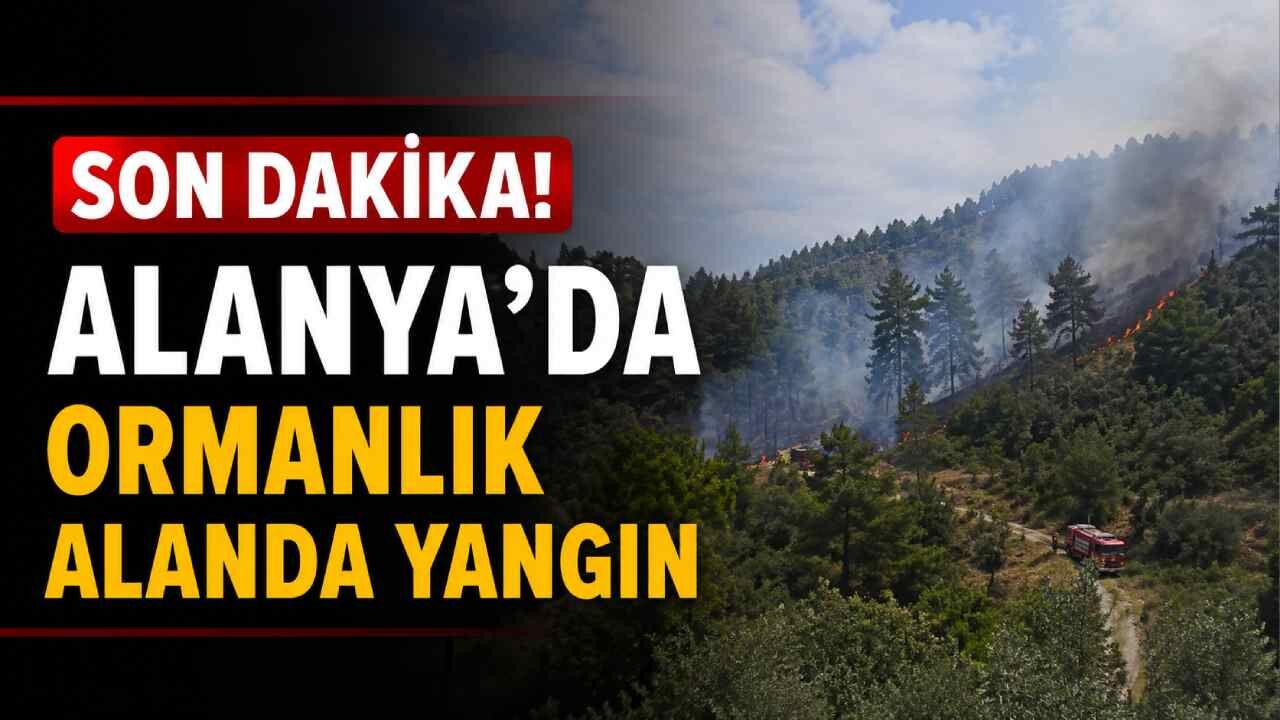 Son Dakika! Alanya'da ormanlık alanda yangın