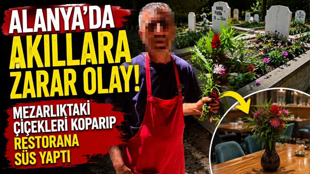 Alanya'da akıllara zarar olay! Mezarlıktaki çiçekleri koparıp restorana süs yaptı