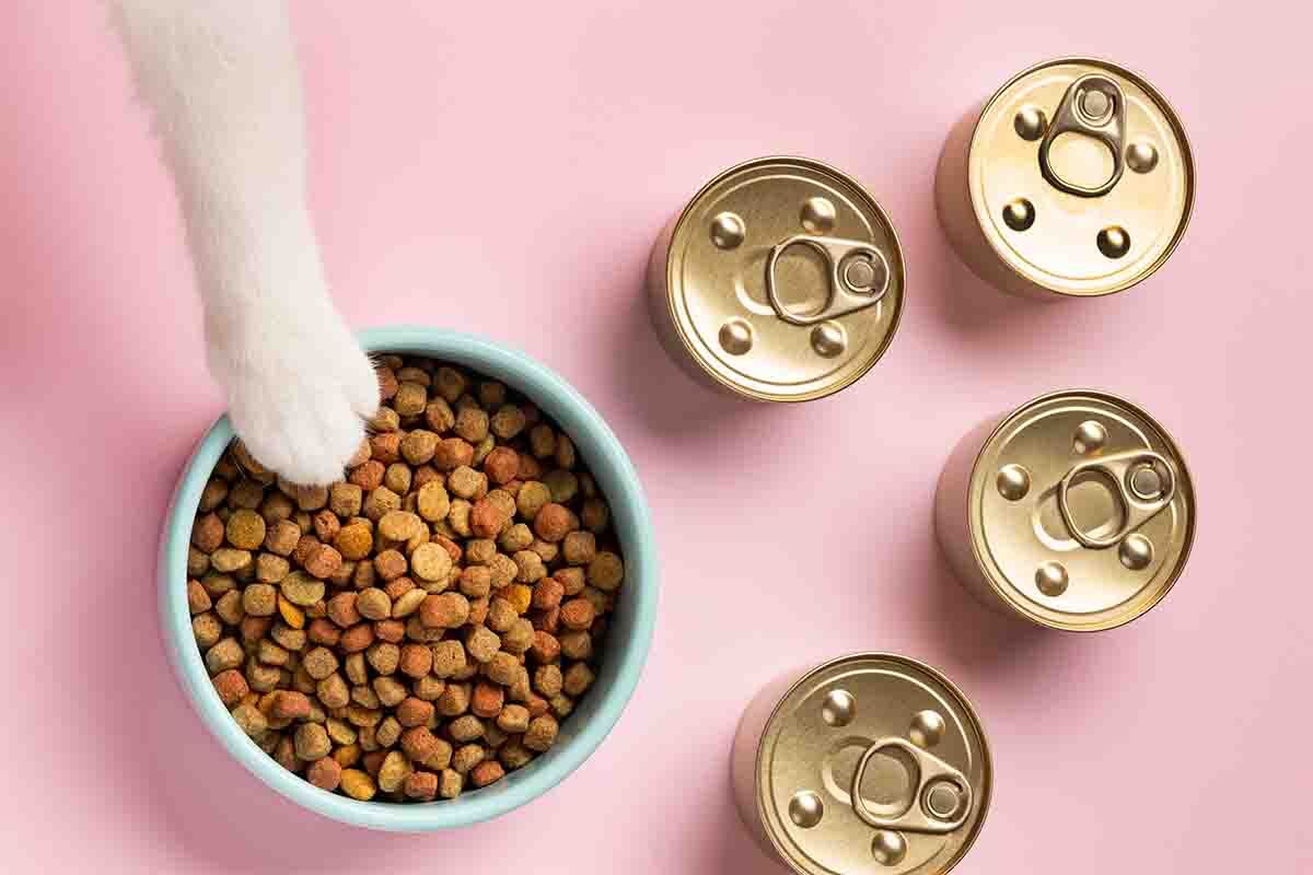 Kedi ve köpek maması alınacak