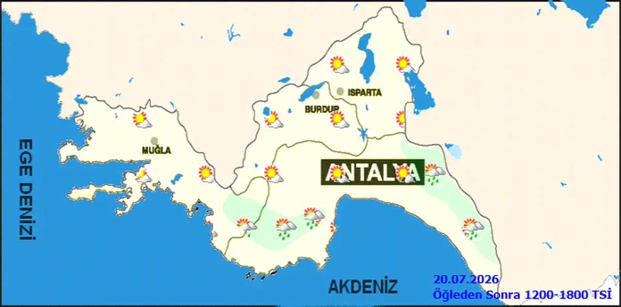 1784532565390 Image
