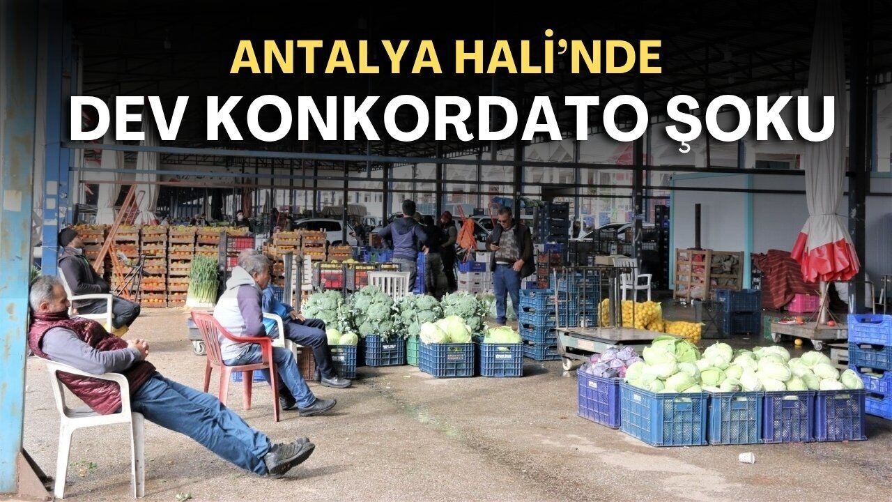 Antalya Hali'nde 50 yıllık firma konkordato ilan etti
