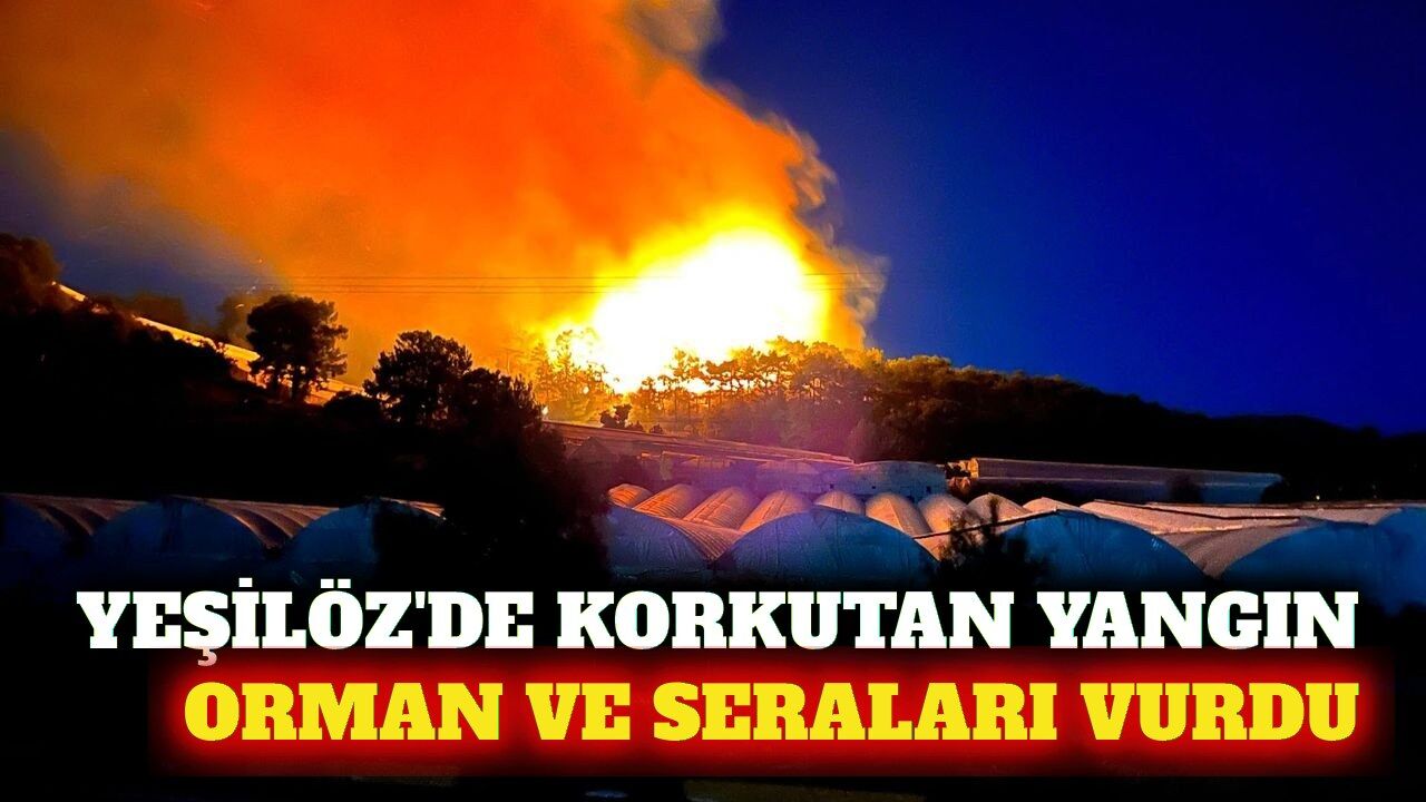 Alanya Yeşilöz'de yangın seraları ve ormanı vurdu