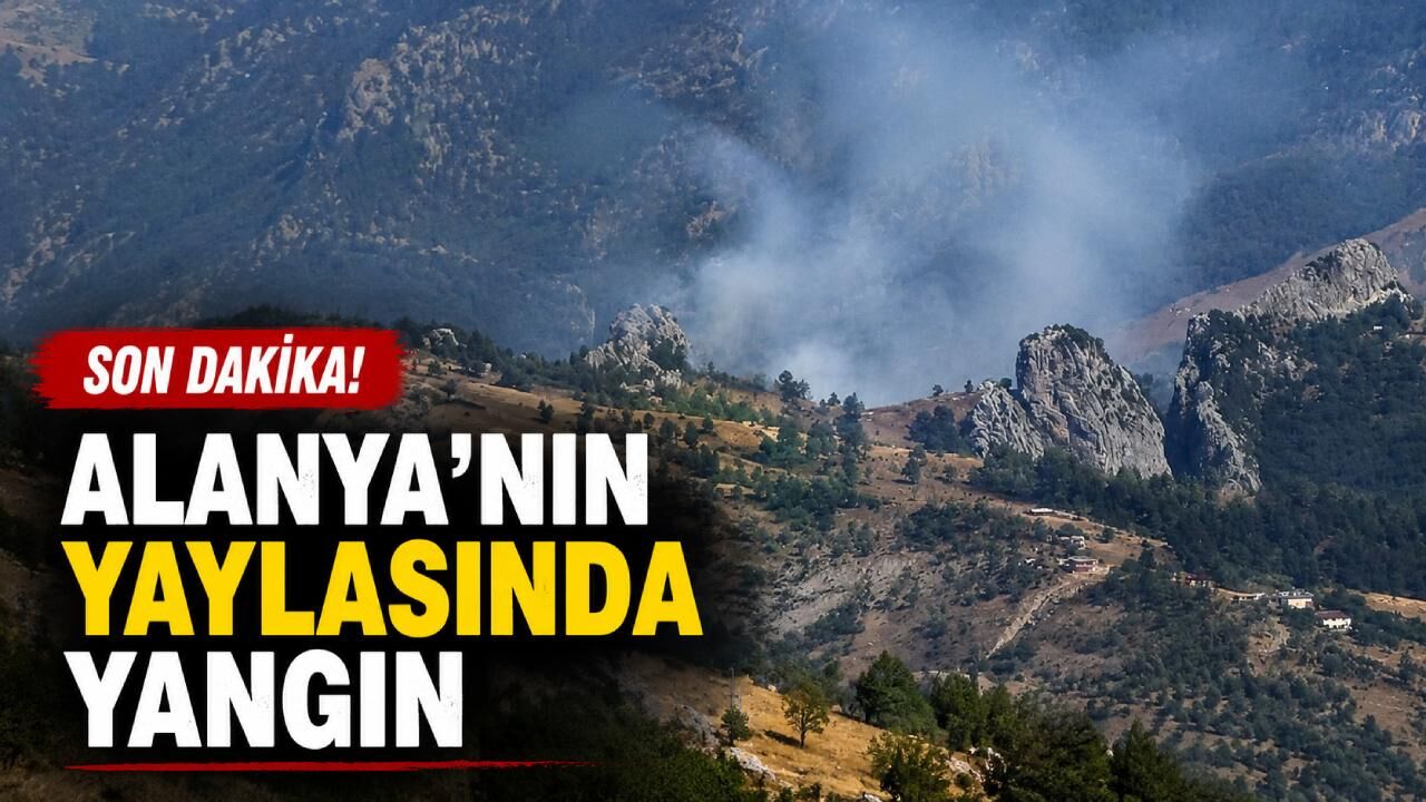 Son dakika! Alanya'nın yaylasında yangın