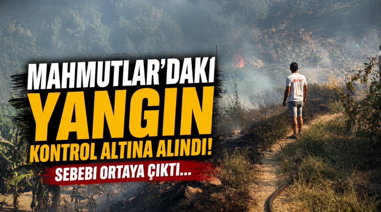 Alanya Mahmutlar'daki yangın kontrol altına alındı! Sebebi ortaya çıktı...