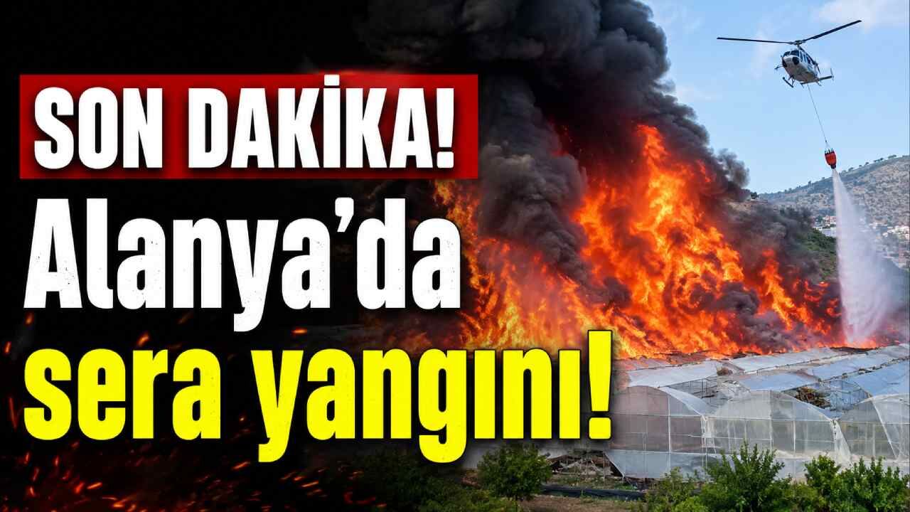 SON DAKİKA! Alanya'da sera yangını!