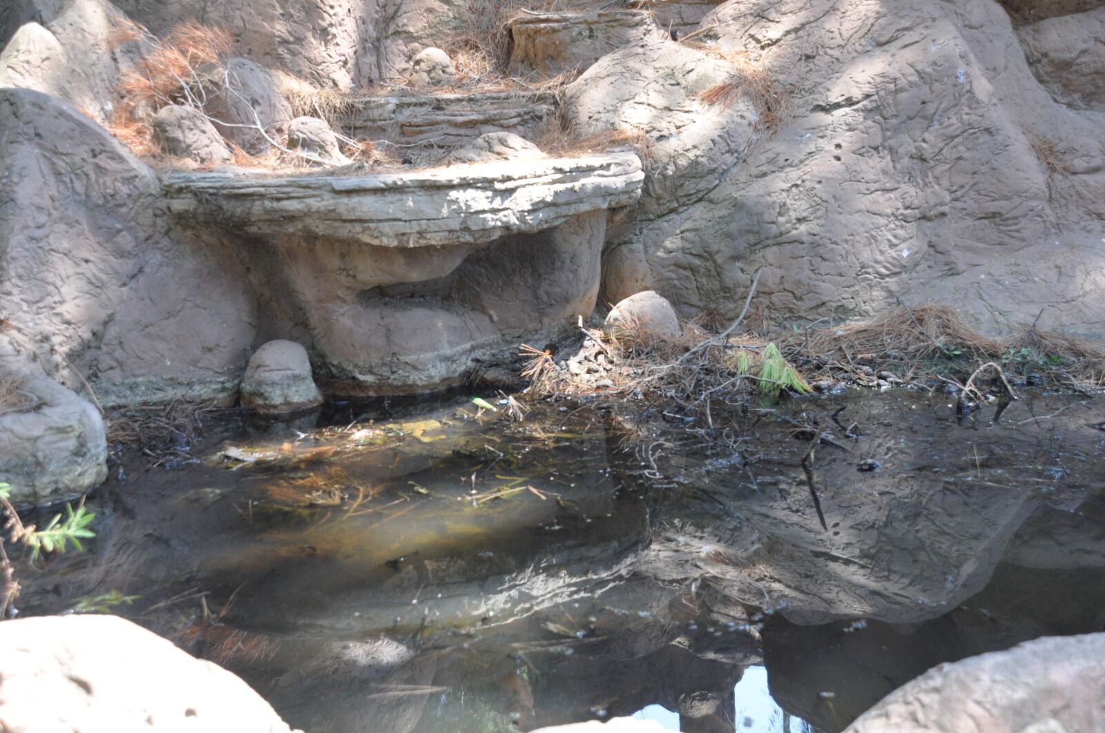 Whatsapp Image 2026 07 21 At 16.01.42 (2)