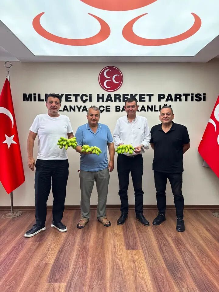 3Yazı