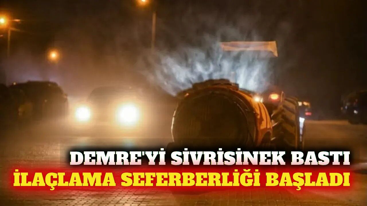 Demre'de sivrisinek artışı sonrası ortak ilaçlama başladı