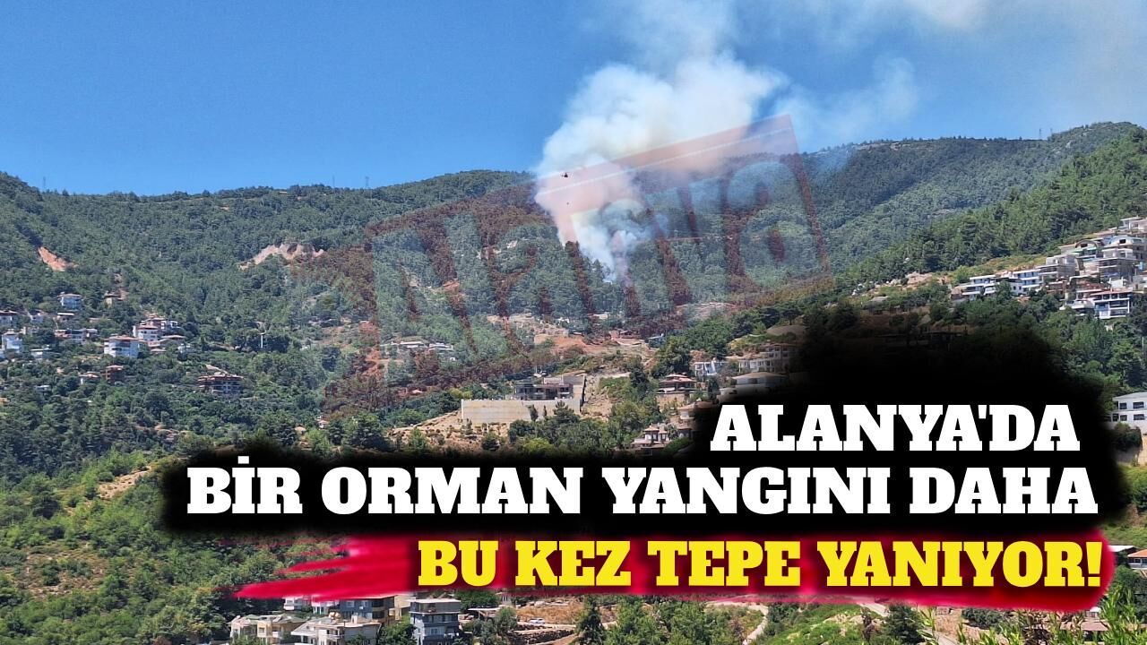 Son dakika - Alanya Tepe'de orman yangını