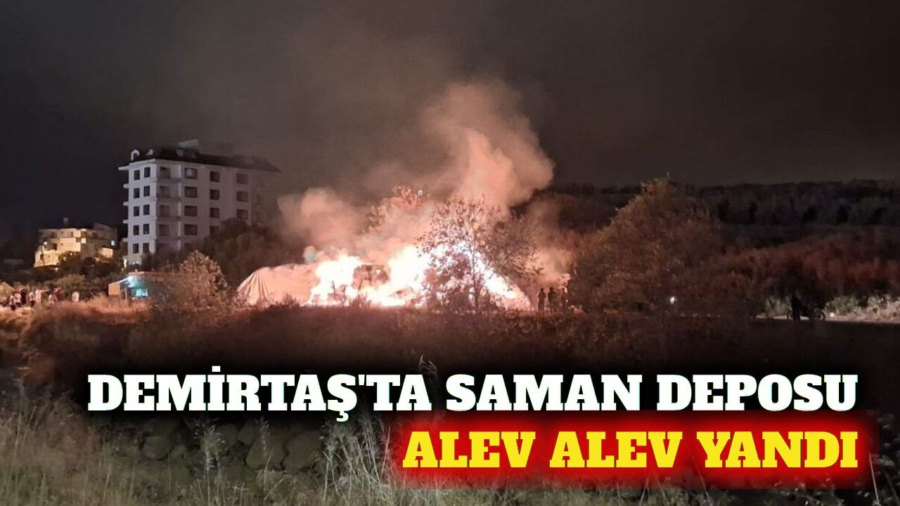 Demirtaş Mahallesi'nde saman deposu yangını