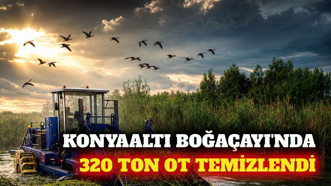Konyaaltı Boğaçayı'nda 320 ton sucul bitki temizlendi