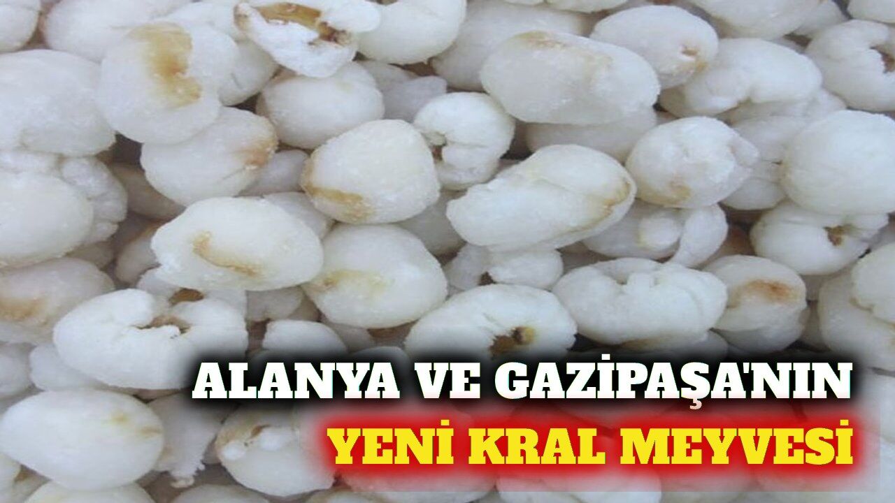Alanya ve Gazipaşa'nın yeni tropikal ürünü liçi meyvesi